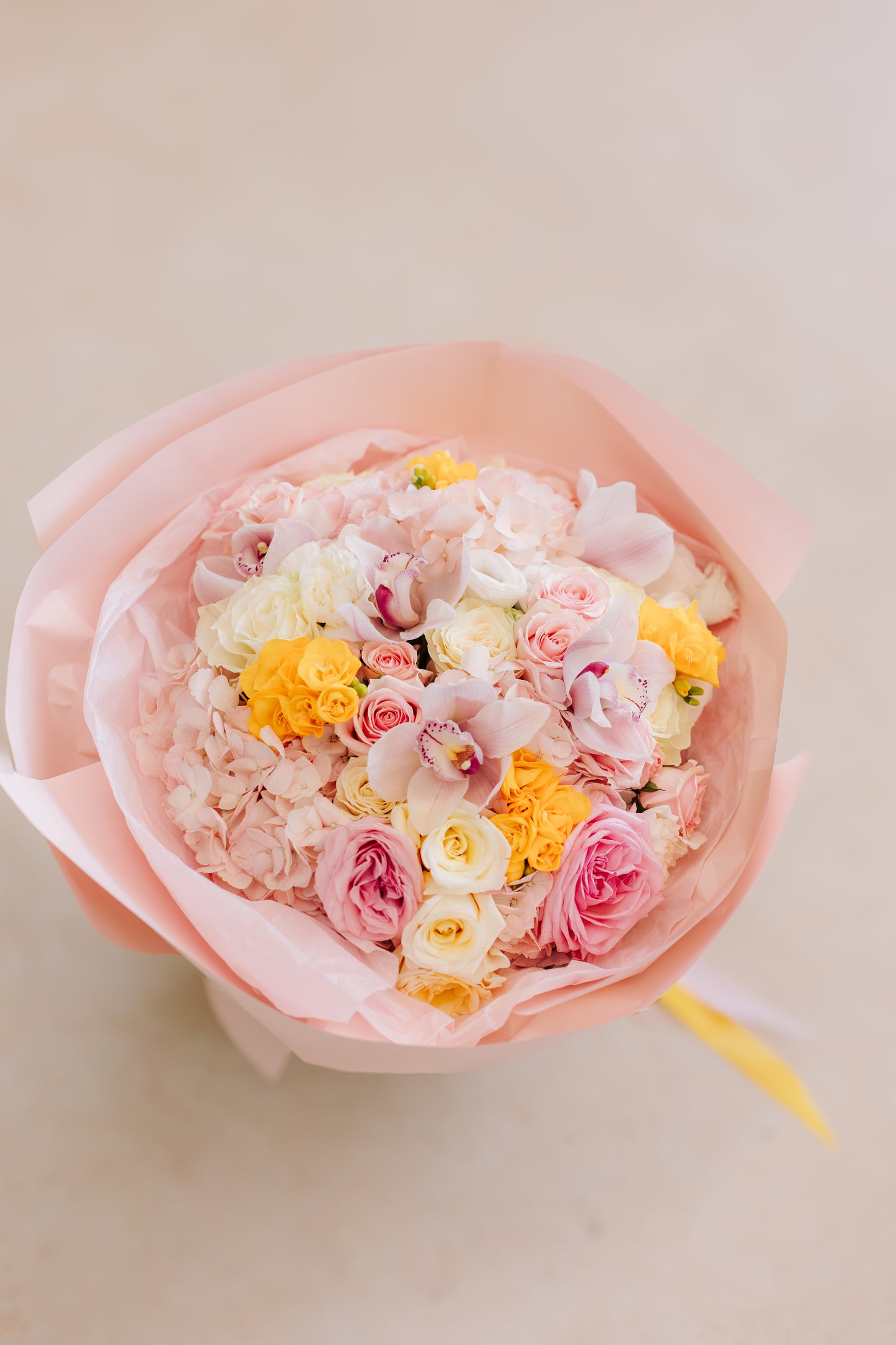 Spring Blossom of Happiness