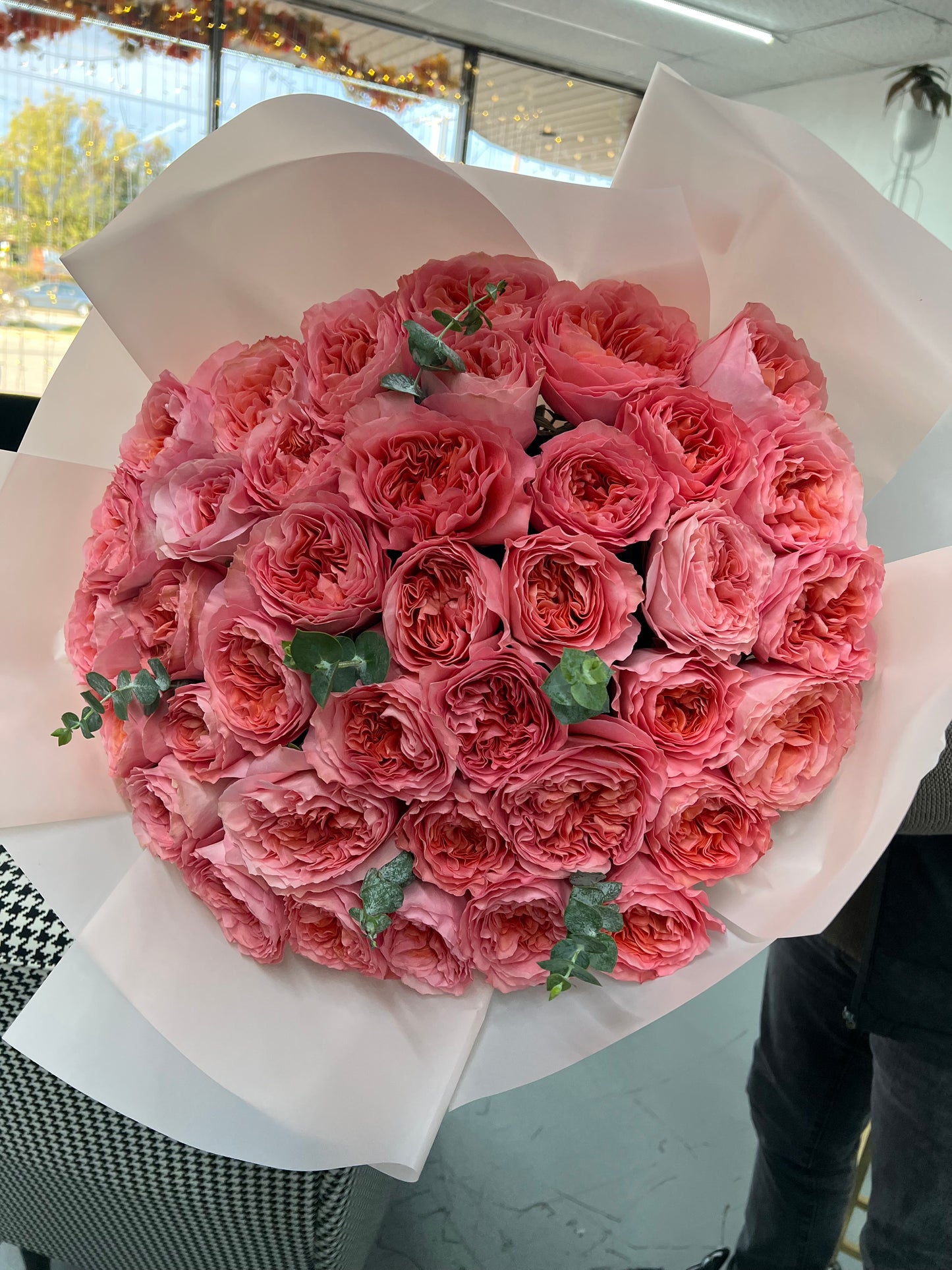 Pink Candy X-Pression Roses