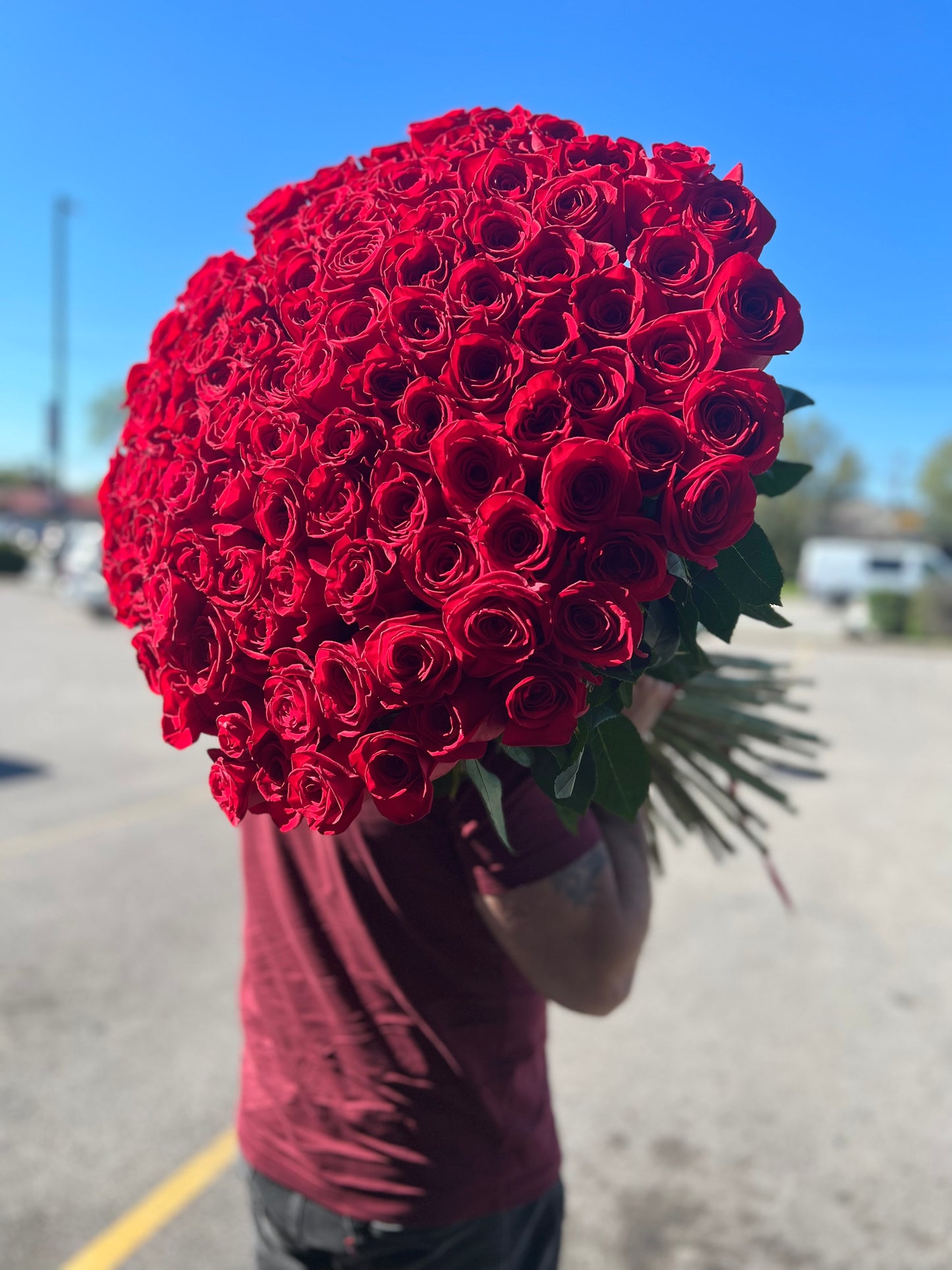 Premium Red Long-Stem Roses (without wrapping, vase not included )