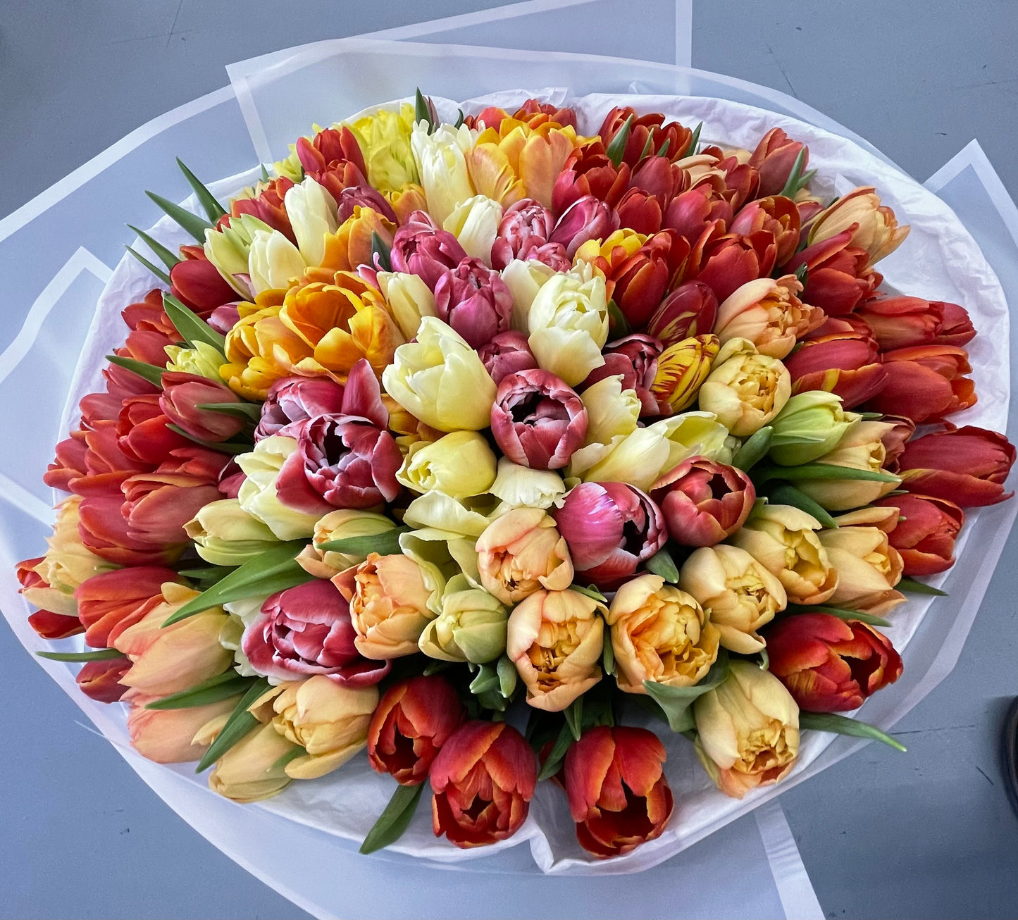 101 Mix Double Tulips