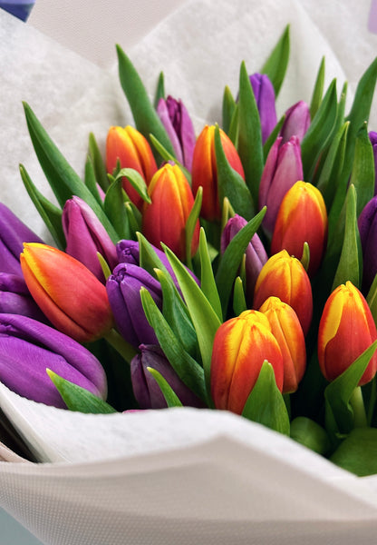 51 Mix of Tulips