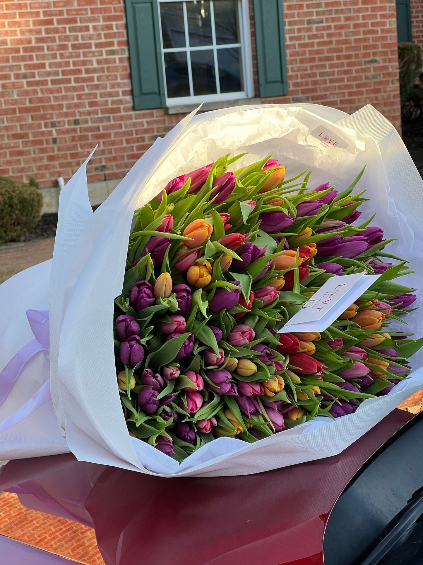 101 classic mix tulips