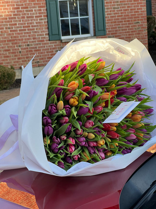 101 classic mix tulips