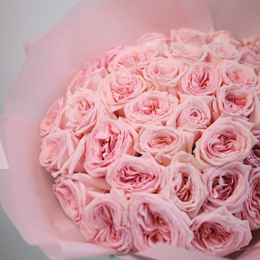 Pink O’Hara Roses